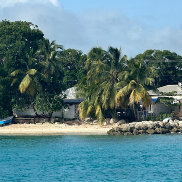 Meet your Posher, Ruth - Picture 1 of 1